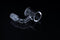 Quartz Banger